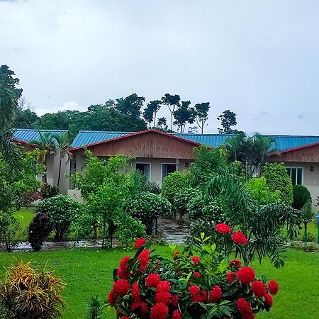 Greenland Safari, Sauraha Exterior foto